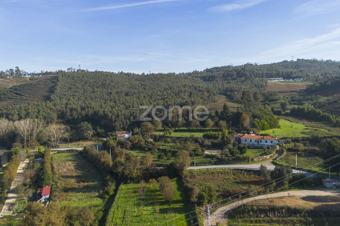 Terreno para Venda em Sobreira Foto 6
