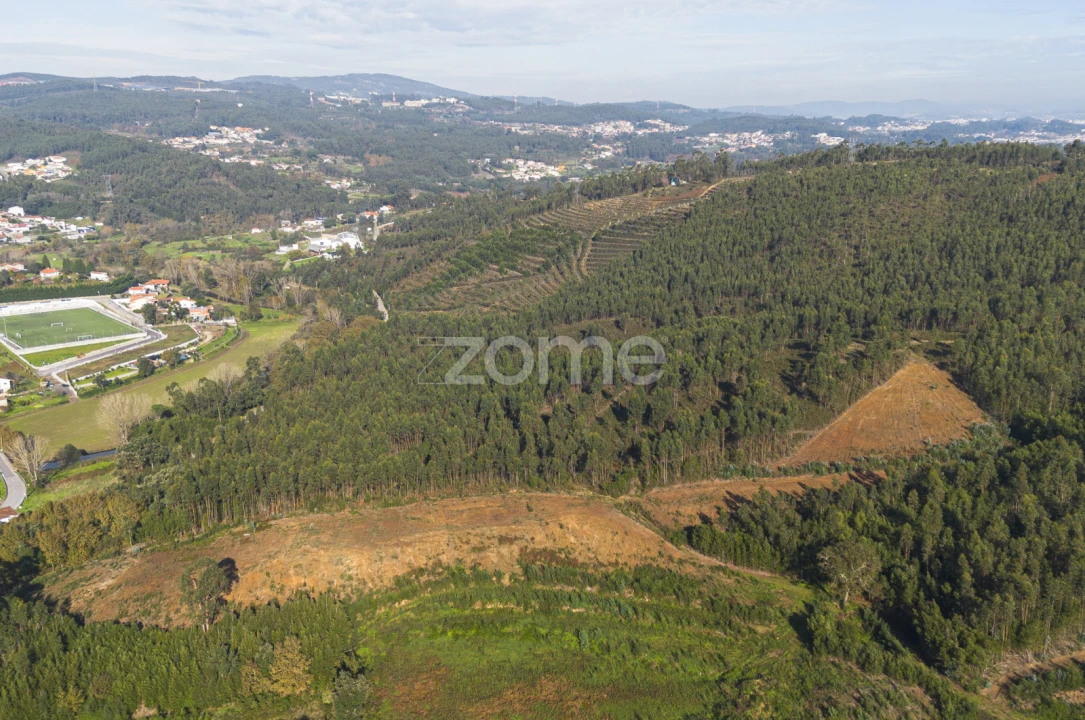 Terreno para Venda em Sobreira Foto 7