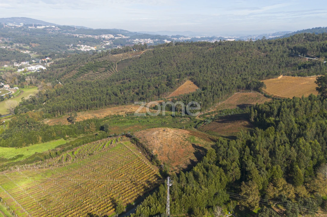 Terreno para Venda em Sobreira Foto 8