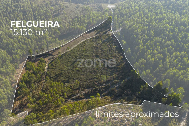 Terreno para Venda em Sobreira Foto 1