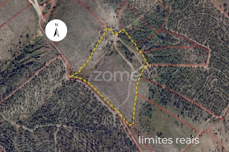 Terreno para Venda em Sobreira Foto 3