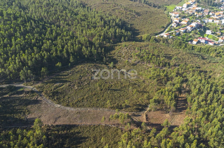 Terreno para Venda em Sobreira Foto 7