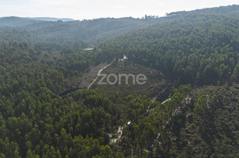Terreno para Venda em Sobreira Foto 8