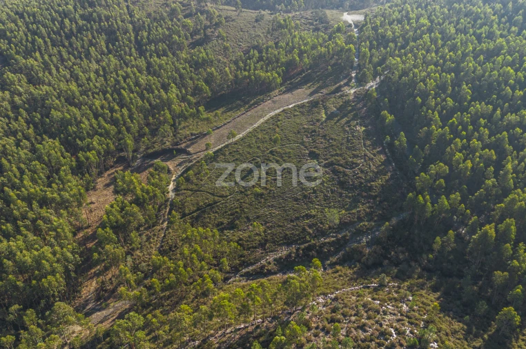 Terreno para Venda em Sobreira Foto 2