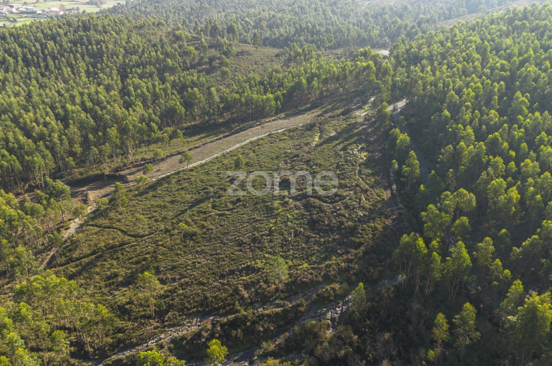 Terreno para Venda em Sobreira Foto 4
