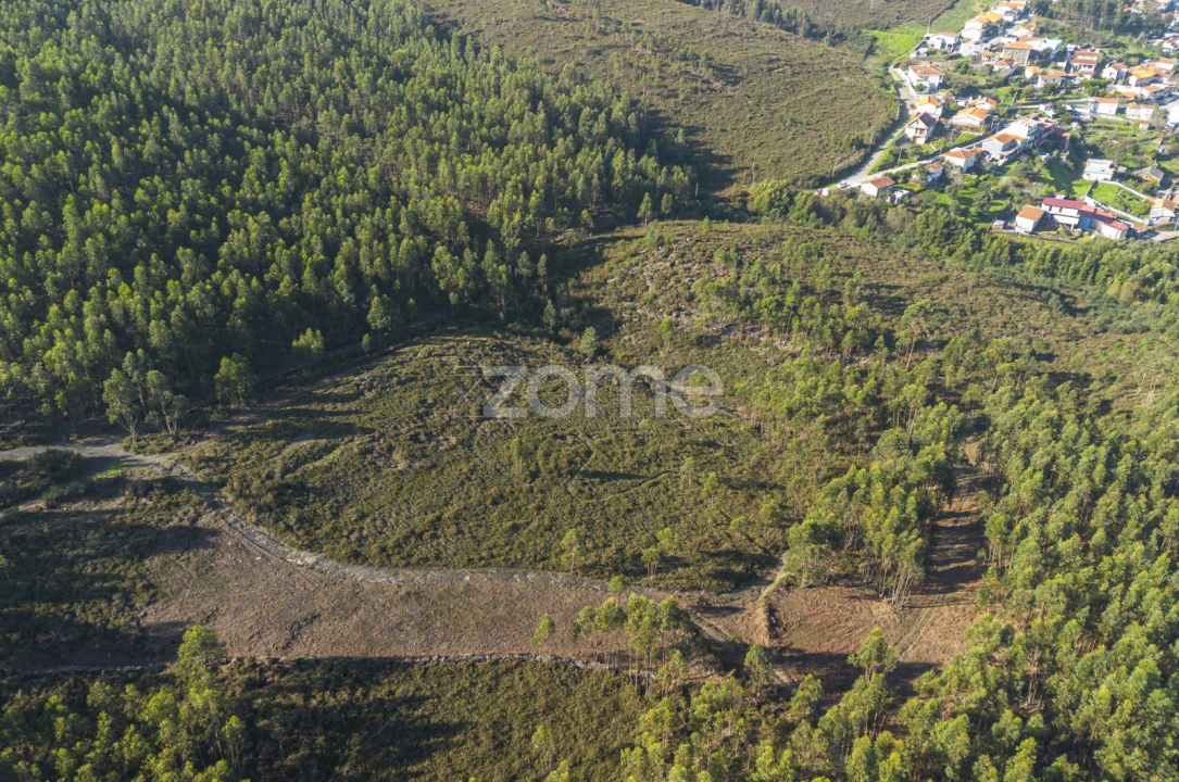 Terreno para Venda em Sobreira Foto 7