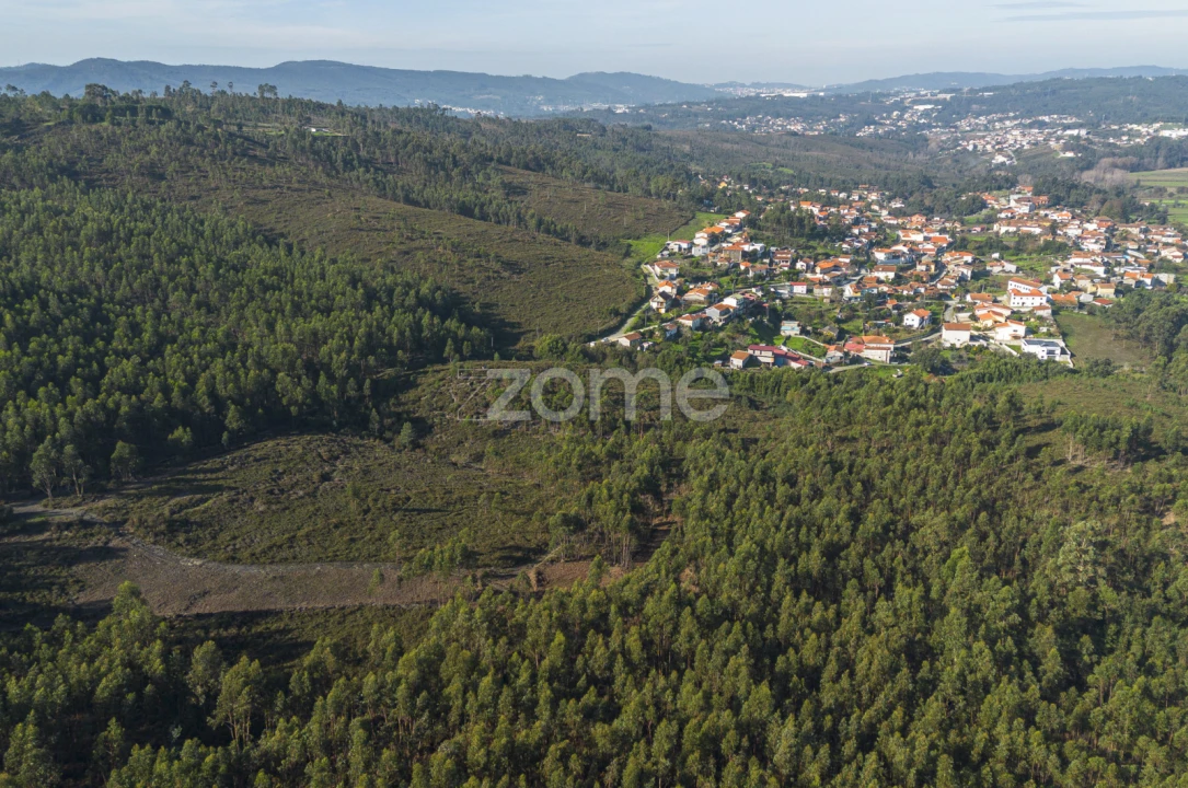Terreno para Venda em Sobreira Foto 6