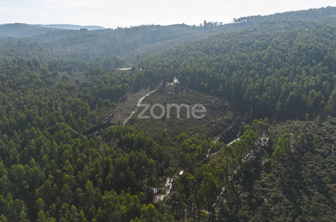 Terreno para Venda em Sobreira Foto 8