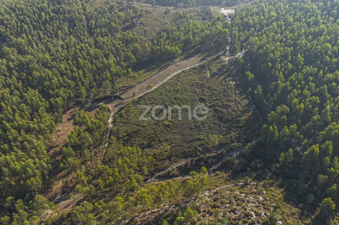 Terreno para Venda em Sobreira Foto 2