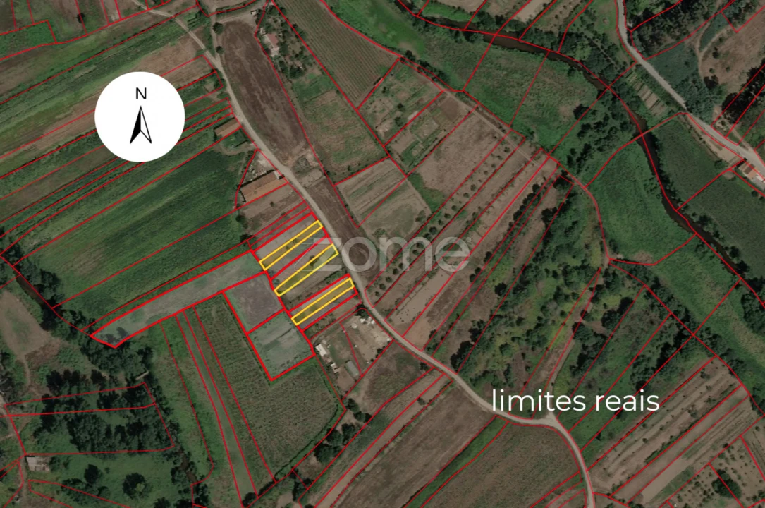 Terreno para Venda em Sobreira Foto 7