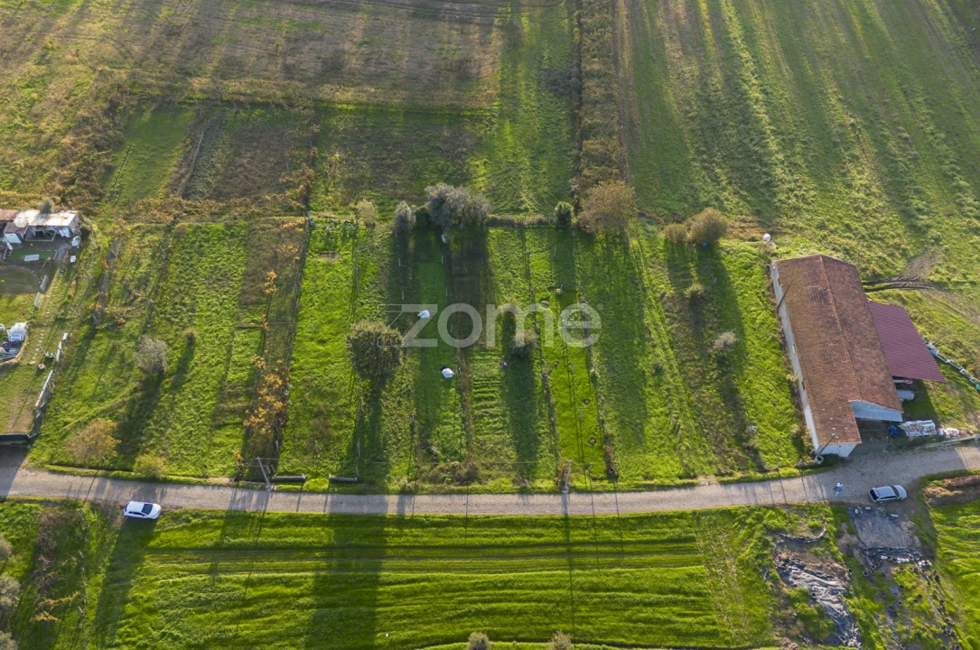 Terreno para Venda em Sobreira Foto 5