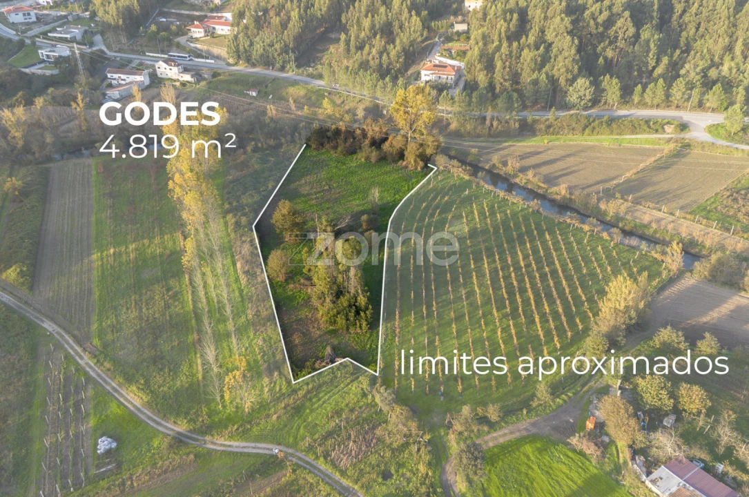 Terreno para Venda em Sobreira Foto 3