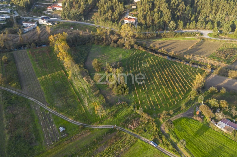 Terreno para Venda em Sobreira Foto 5