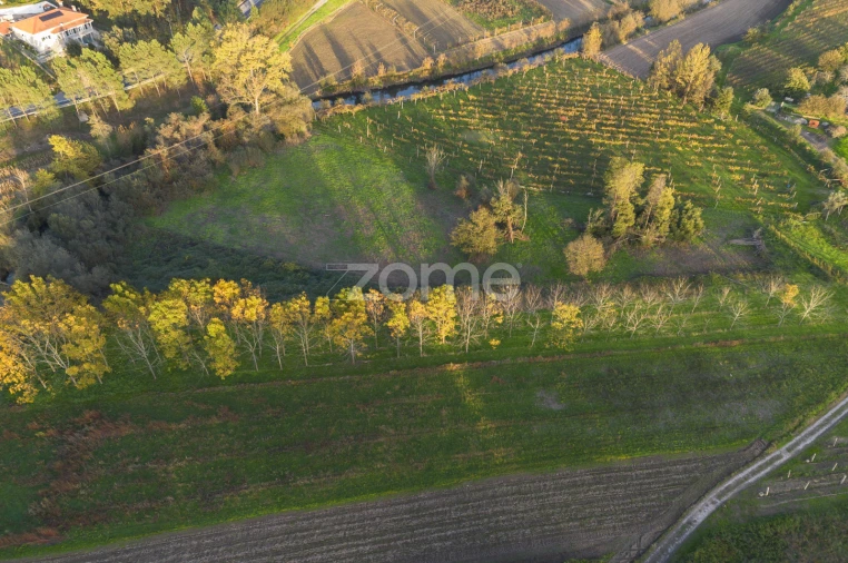 Terreno para Venda em Sobreira Foto 3