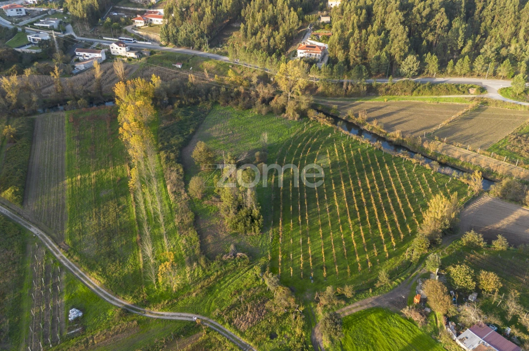 Terreno para Venda em Sobreira Foto 1
