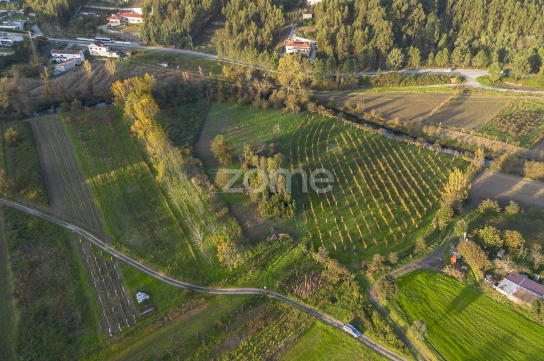 Terreno para Venda em Sobreira Foto 5