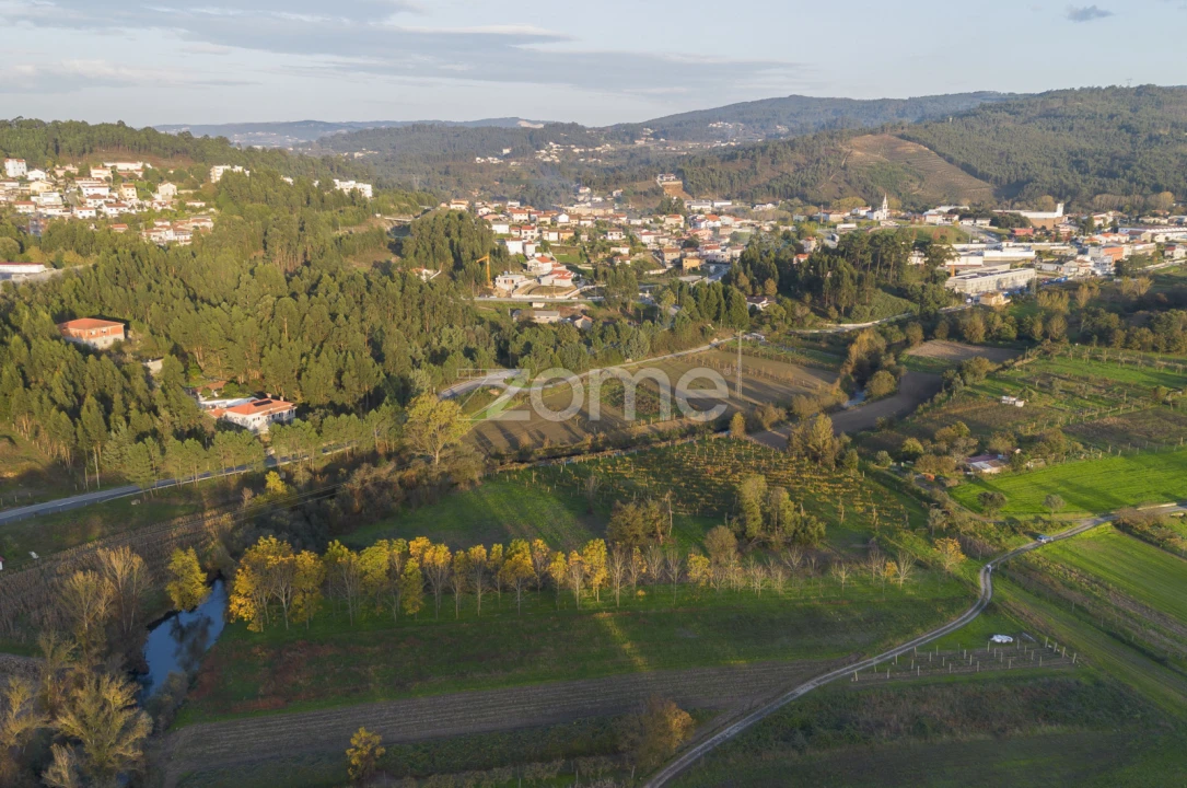Terreno para Venda em Sobreira Foto 7