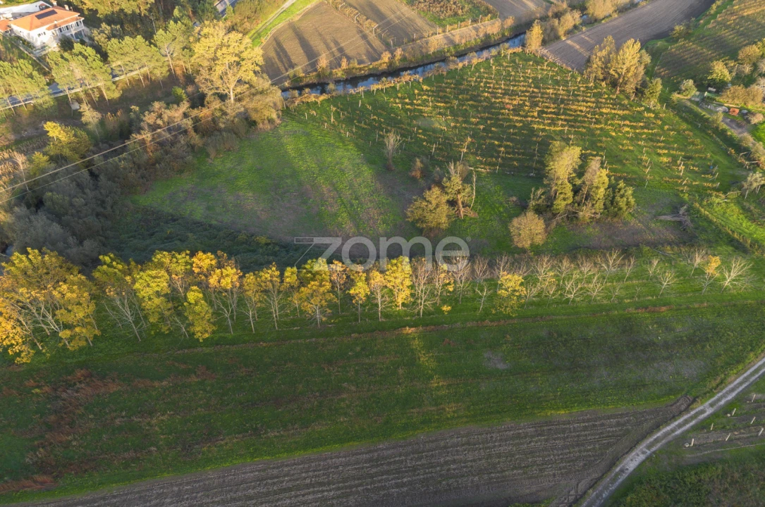 Terreno para Venda em Sobreira Foto 4