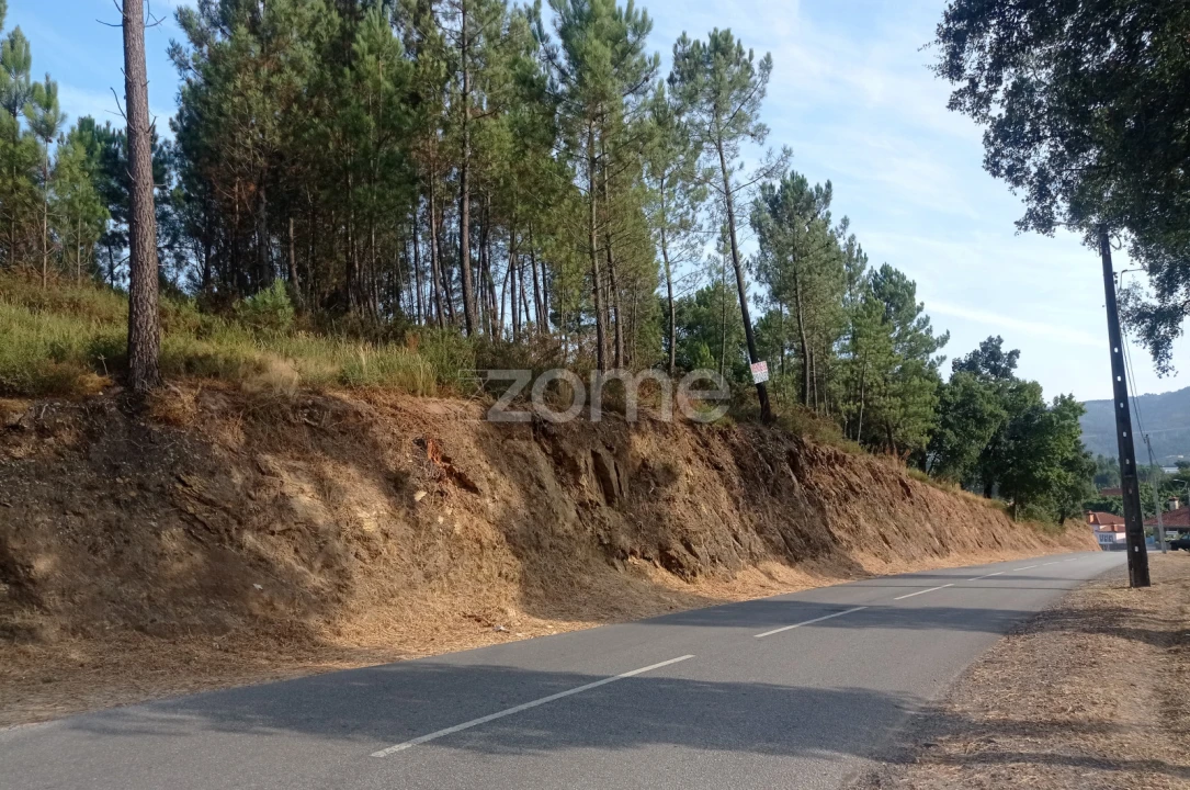 Terreno para Venda em Refojos de Basto, Outeiro e Painzela Foto 2