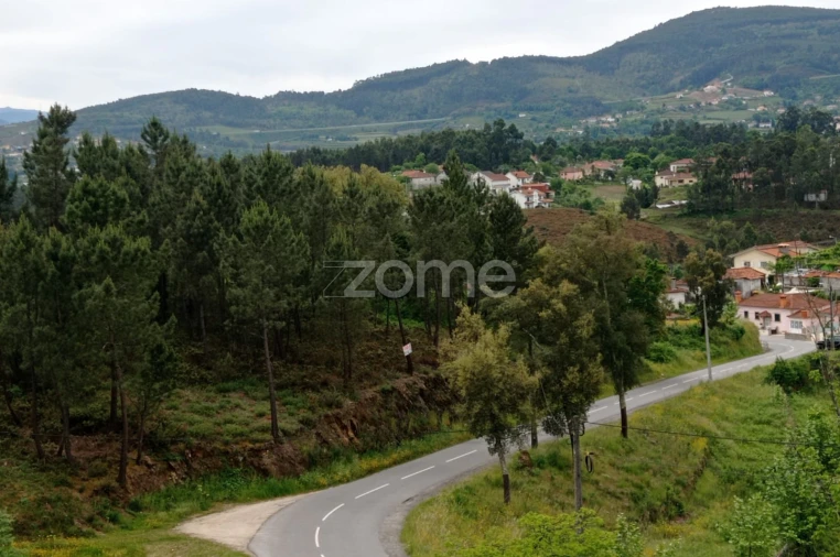 Terreno para Venda em Refojos de Basto, Outeiro e Painzela Foto 5
