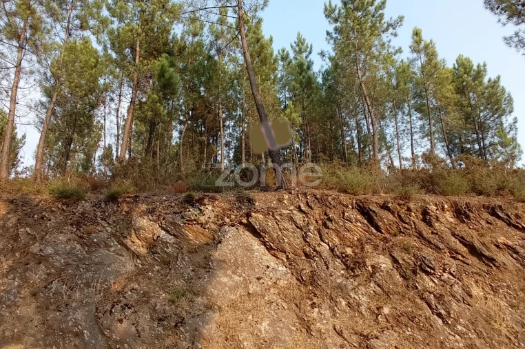 Terreno para Venda em Refojos de Basto, Outeiro e Painzela Foto 7