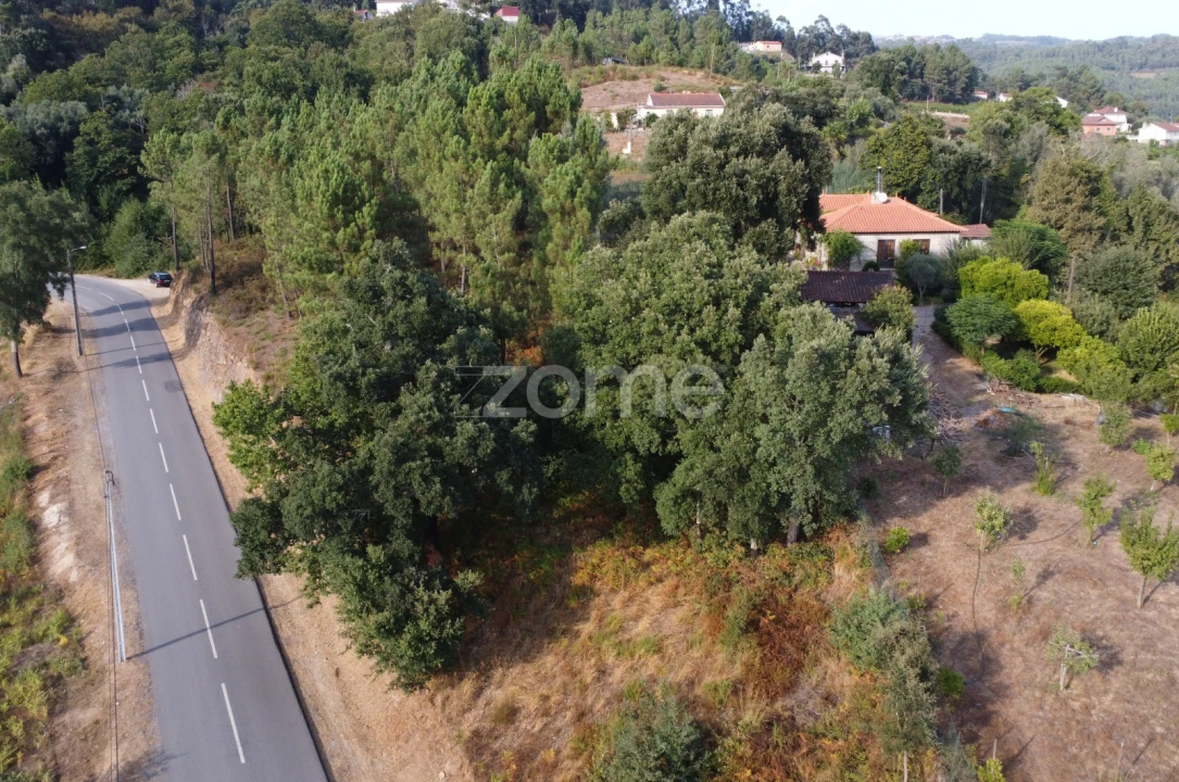 Terreno para Venda em Refojos de Basto, Outeiro e Painzela Foto 1