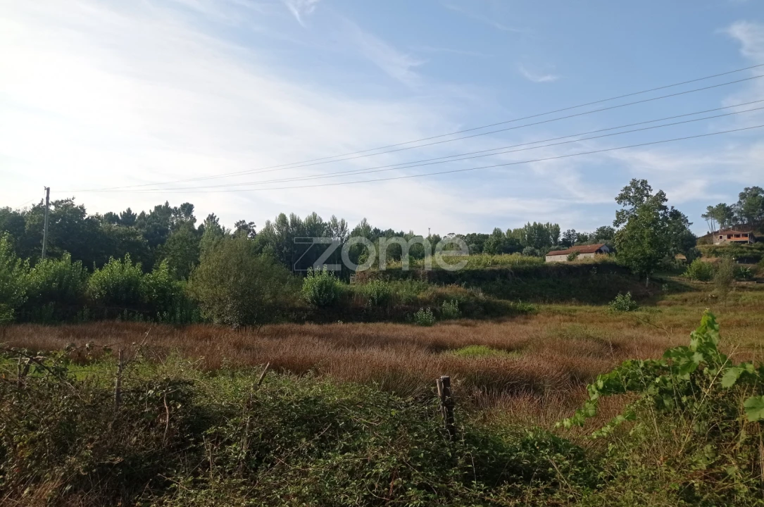 Terreno para Venda em Refojos de Basto, Outeiro e Painzela Foto 16