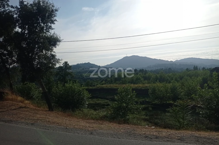 Terreno para Venda em Refojos de Basto, Outeiro e Painzela Foto 7