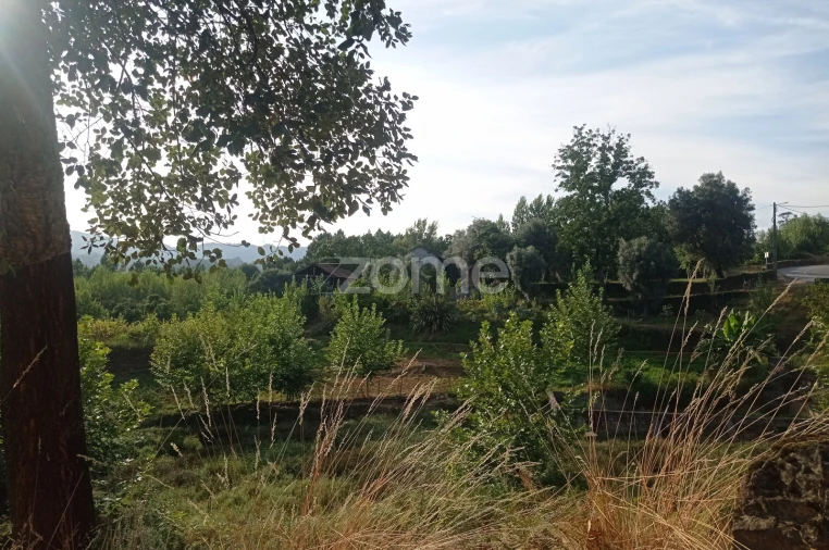 Terreno para Venda em Refojos de Basto, Outeiro e Painzela Foto 10