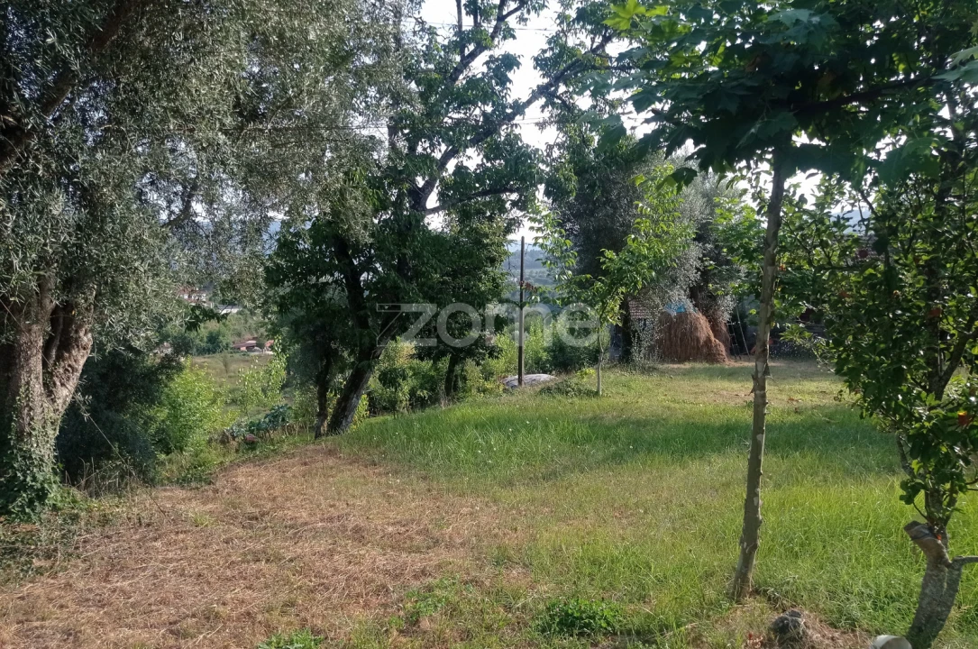 Terreno para Venda em Refojos de Basto, Outeiro e Painzela Foto 6