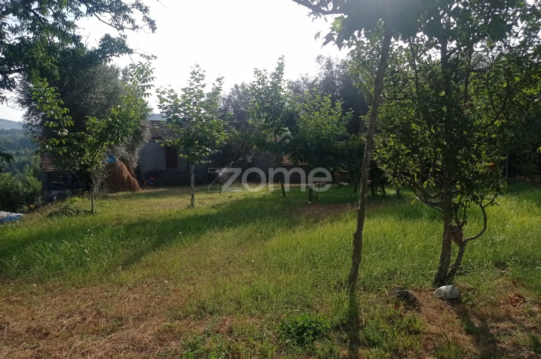 Terreno para Venda em Refojos de Basto, Outeiro e Painzela Foto 7