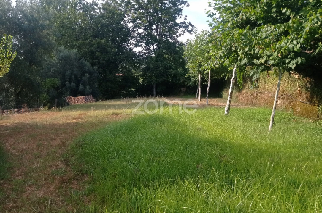 Terreno para Venda em Refojos de Basto, Outeiro e Painzela Foto 9