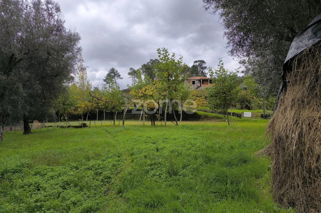 Terreno para Venda em Refojos de Basto, Outeiro e Painzela Foto 16