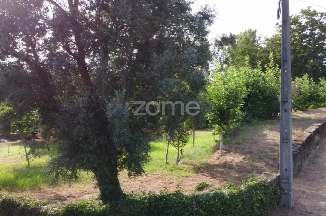 Terreno para Venda em Refojos de Basto, Outeiro e Painzela Foto 14