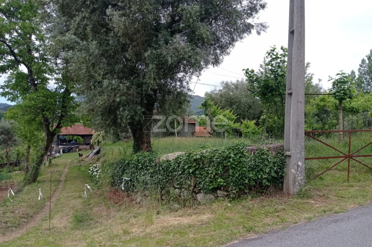 Terreno para Venda em Refojos de Basto, Outeiro e Painzela Foto 13