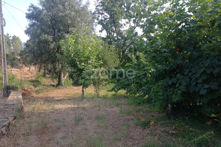Terreno para Venda em Refojos de Basto, Outeiro e Painzela Foto 5