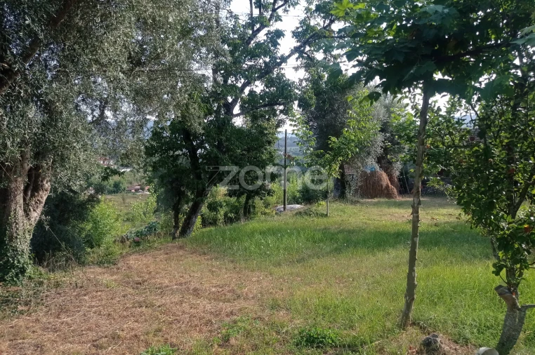 Terreno para Venda em Refojos de Basto, Outeiro e Painzela Foto 6