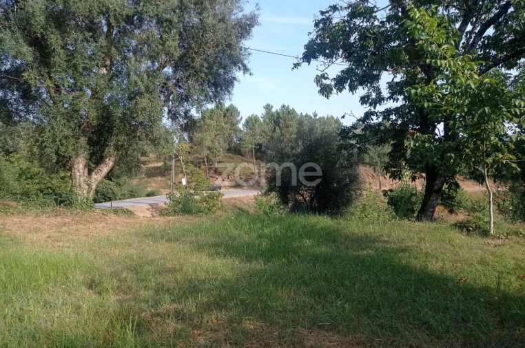 Terreno para Venda em Refojos de Basto, Outeiro e Painzela Foto 10