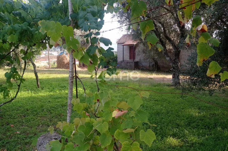 Terreno para Venda em Refojos de Basto, Outeiro e Painzela Foto 11