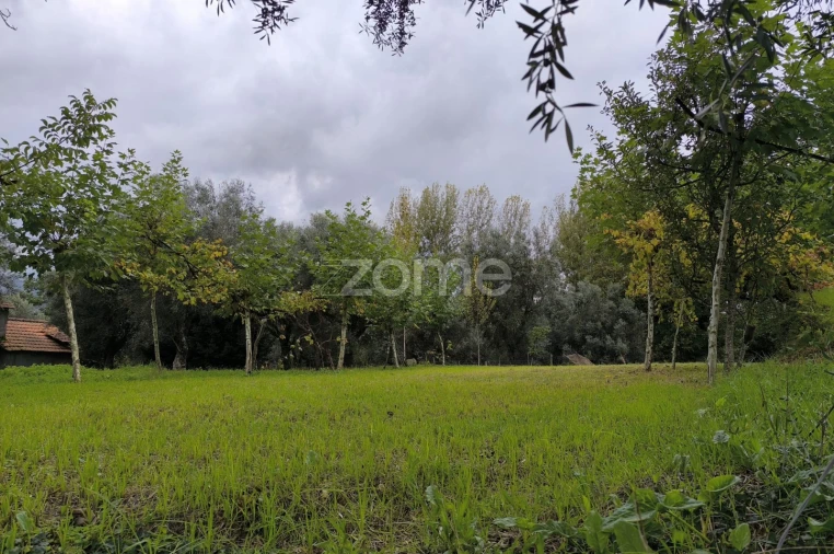 Terreno para Venda em Refojos de Basto, Outeiro e Painzela Foto 17