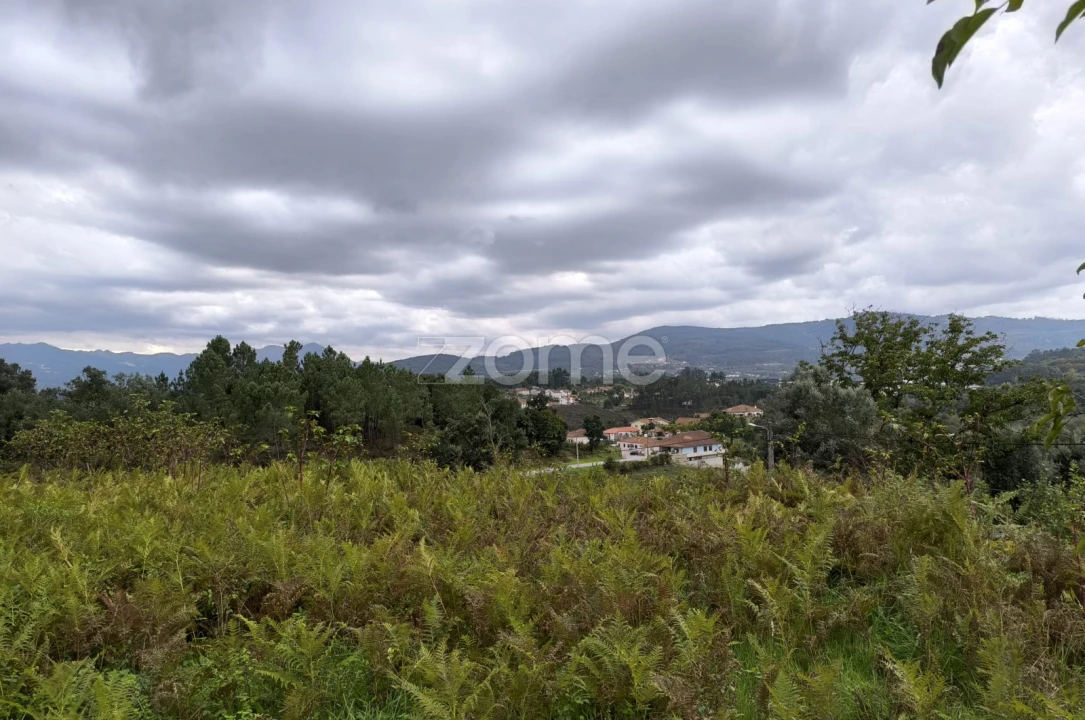 Moradia T1 para Venda em Refojos de Basto, Outeiro e Painzela Foto 37