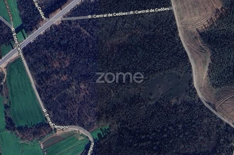 Terreno para Venda em Bougado (São Martinho e Santiago) Foto 13