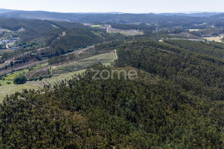 Terreno para Venda em Bougado (São Martinho e Santiago) Foto 11