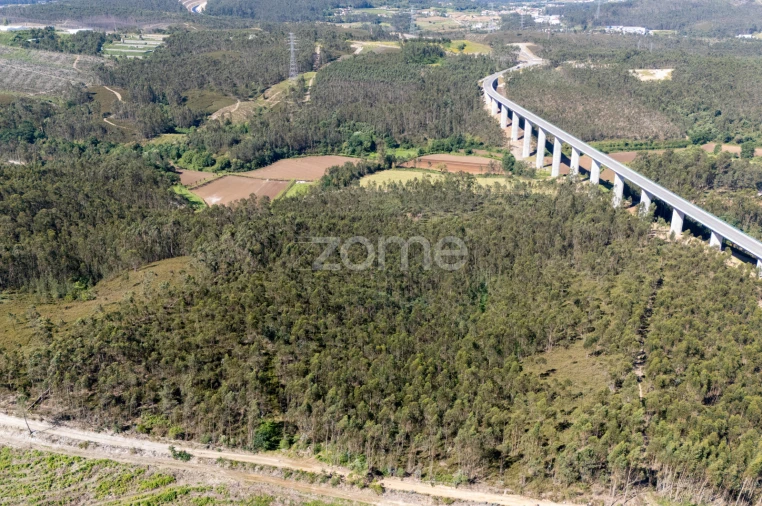 Terreno para Venda em Bougado (São Martinho e Santiago) Foto 15