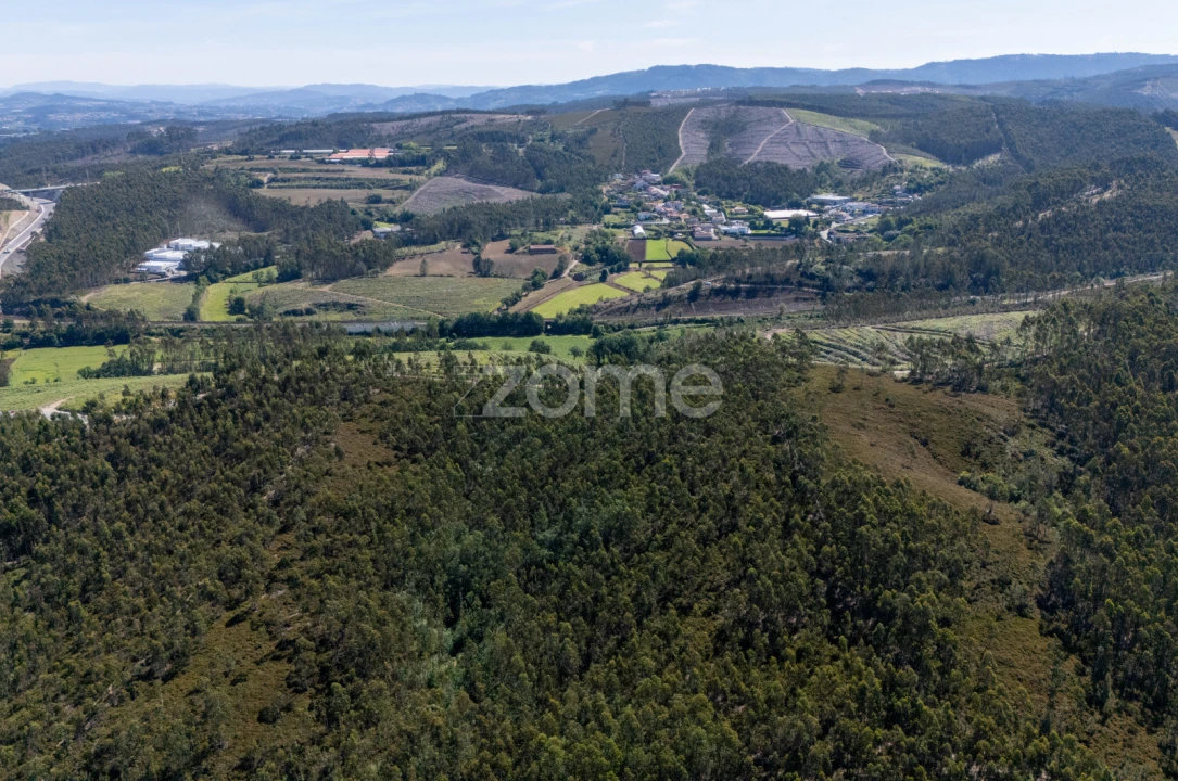 Terreno para Venda em Bougado (São Martinho e Santiago) Foto 8
