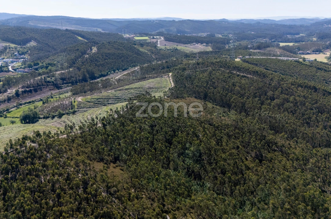 Terreno para Venda em Bougado (São Martinho e Santiago) Foto 11