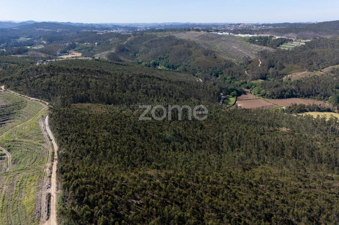 Terreno para Venda em Bougado (São Martinho e Santiago) Foto 9