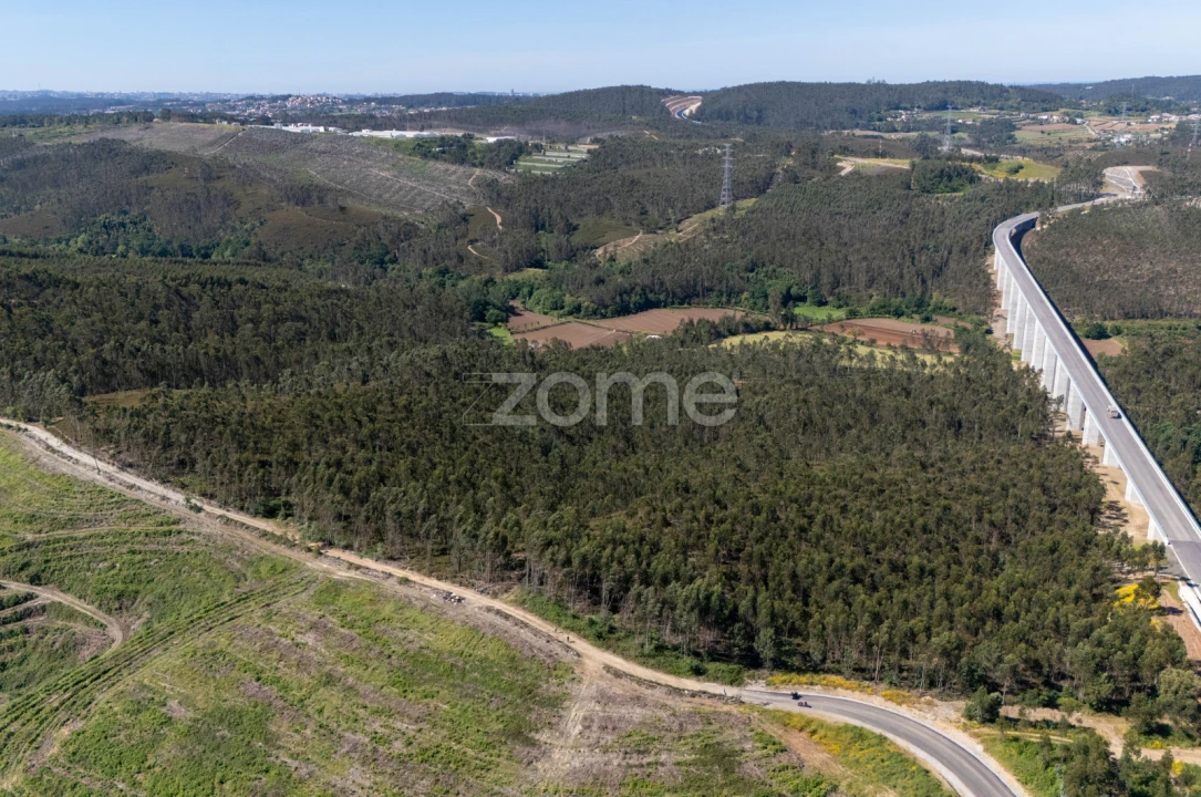 Terreno para Venda em Bougado (São Martinho e Santiago) Foto 10