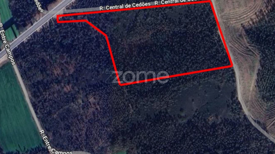Terreno para Venda em Bougado (São Martinho e Santiago)