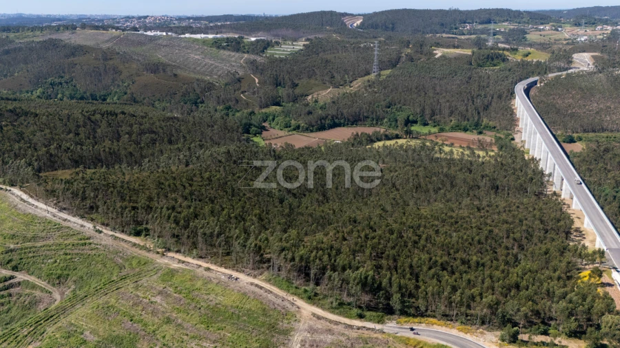 Terreno para Venda em Bougado (São Martinho e Santiago)